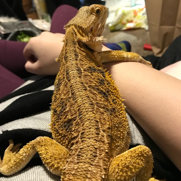 Meet your Posher, Ashley - Picture 6 of 8